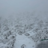 讨厌上班社畜版