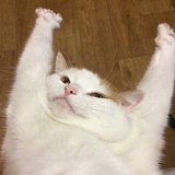 萨日朗