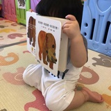 拉拉换个腿