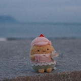 tokki