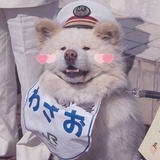 哦