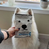 little超哈哈棒