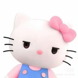一只猫山王