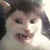 美男落泪我心碎