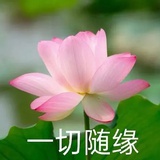 休羽花甜