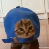 纯i战神