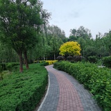 清河