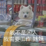 我想上双休