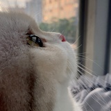 不知归期
