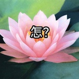 看热闹不嫌事大