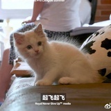求仁得仁叻