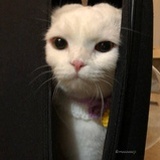 via_
