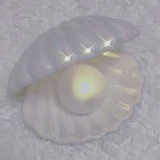 藤井树（情书版