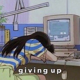 考拉考拉