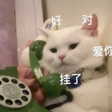 Momomoo_n