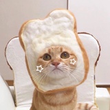 饮溪