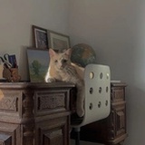 风迹