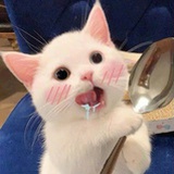 凌晨四点