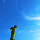 天儿