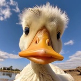 是谁