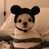 新奥尔良烤翅
