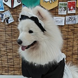 柠檬茶少糖多冰