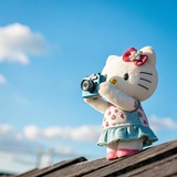 血战npd