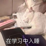 艺术就是派大星