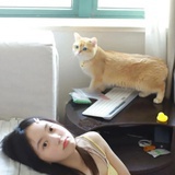 好彩自然来