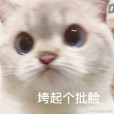 黄花鱼