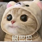 蜂蜜柚子茶
