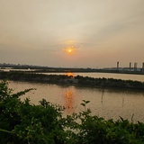 云野