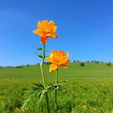 向着朝阳