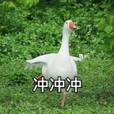 我不知道叫什么