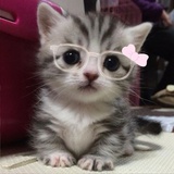 进退也共鸣