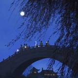 夜夜夜流光