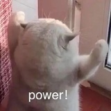 桑榆