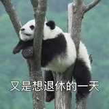凌凌赫赫