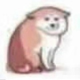 江湖🐶子