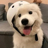 桃夭～