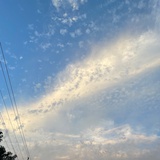 墨鱼摆烂好