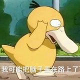 啥也不懂