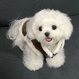 看剧小能手
