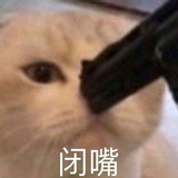 某某女士
