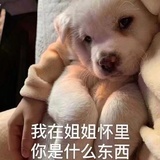 豆友171358201