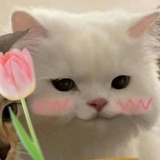 小满