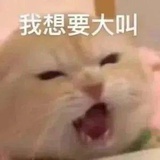 多肉葡萄加点冰
