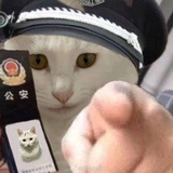 Noitanigami