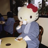 兔子花生