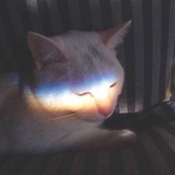 云上